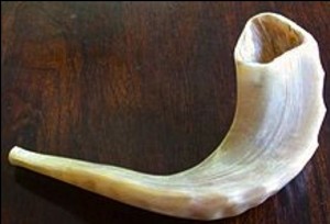 jewish shofar