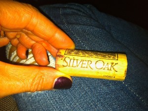 camp blog 2 silver oak