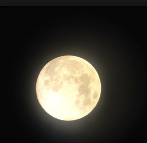 moony bitch full moon 1